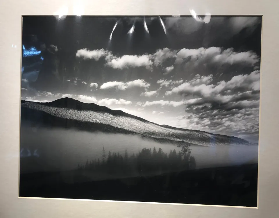 2023 Brand New Shanghai GP3 4X5 Black White ISO 100 Sheet Film