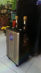 Loa kéo hqz  3 tất bass 30  mạnh   2 mic vàng   logo  2000ww  - Tặng kèm 2  micro không dây