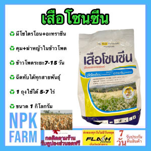 หัวเสือลูกโลก เสือโซนซีน ขนาด 1 กก. มีโซไตรโอน+อะทราซีน สูตรเม็ดแรงกว่า3เท่า คุมฆ่าวัชพืชใบแคบใบกว้าง ฉีดทับ อ้อย ข้าวโพดได้ npkplant