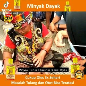 minyak urut asli suku dayak kalimantan minyak urut herbal minyak rematik asam urat