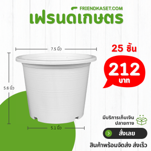 กระถาง กระถางต้นไม้ กระถางขาว เบอร์ 8 7.5 นิ้ว สีขาว 25 ใบ ชิ้น อัน