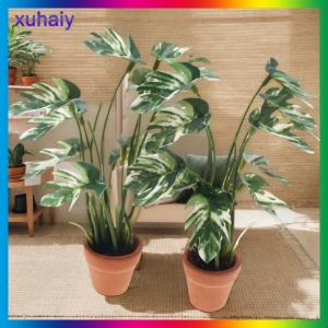 xuhaiy 1 12 Dollhouse mô phỏng monstera cây xanh trong chậu Dollhouse trang trí nhà vi cảnh quan vườn mô hình cây cảnh