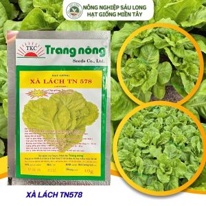 Hạt giống xà lách chịu mưa chịu nhiệt TN 578 Trang Nông-dễ trồng nhanh thu hoạch