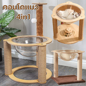 Dream Nest ของเล่นแมว โดมแมว หลุมอวกาศ 4in1 คอนโดแมว คอนโดแมวไม้ เสาลับเล็บ ที่นอนแมวพร้อมหลุมใสอะคริลิค