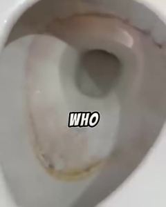 RAPTURA Krazy Klean Toilet Cleaner Krazy Klean Pro Toilet Cleaner 10 Year Toilets Cleane Automatic Long-Lasting Cleaners Fresh Scent Refreshes Toilets with A Light Fresh Scent