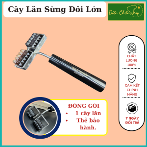 Lăn Sừng Trụ Đôi Lớn - Lăn Lưng Vai Gáy Lăn Chân Tay - Dụng Cụ Diện Chẩn