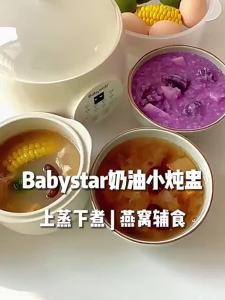 MultifunctionalElectric Stew Pot With Steamer Household Automatic Multi Cooker Ceramic Liner Soup Pot Portable Small Electric Water Stewing Cup