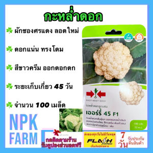 ผักซอง ศรแดง กะหล่ำดอก เออร์รี่  [ จำนวน 100 เมล็ด ]  หมดอายุ 05/05/2569 ลอตใหม่ งอกดี กะหล่ำดอกพันธุ์เบา ออกดอกเร็วสม่ำเสมอ ดอกแน่นทรงโดม สีขาวครีม ต้นแข็งแรง ระยะเก็บเกี่ยว 45 วัน npkplant