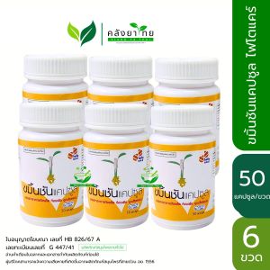 [แพ็ค 6 ขวด] ขมิ้นชันแคปซูล ไฟโตแคร์ Phyto care  ขนาด  50 แคปซูล/ขวด