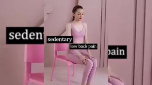 Acemend Back Stretcher Acemend Refresh Back Stretcher for Sciatica Back Stretcher for Lower Back Pain Relief (Blue)