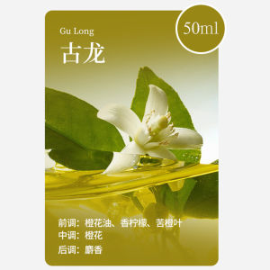 Smart Aroma Diffuser Automatic Fragrance Machine Waterless Spray Rechargeable Essential Oil Refill for Bedroom J3