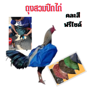ถุงสวมปีกไก่ ผ้าคลุมปีกไก่ กันน้ำ กันแดด ปีกไก่ไม่เปียกในขณะอาบน้ำไก่ ปีกไม่ไม่ชื้นไม่เป็นรา คละสี เย็บอย่างดีกระชับพอดีกับปีกไก่ อุปกรณ์ไก่ชน เลี้ยงไก่ชน