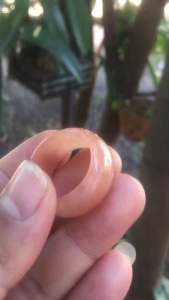 แหวนหยกส้ม (หยกน้ำผึ้ง) no.66-67