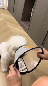 Pet Recovery Collar Chew-Resistant Use for Cats for Dogs for Home Care and Daily Use Suitable for Storage Cleaning or Routine Setup for Indoor pet collar for dogs collar pet collar