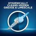 Finish Dishwasher Machine Cleaner Liquid 250ml (Lemon/Regular). 