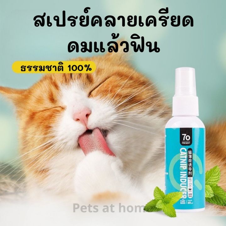 สเปรย์กัญชาแมว แคทนิป เพิ่มความสนุกให้ของเล่นแมว