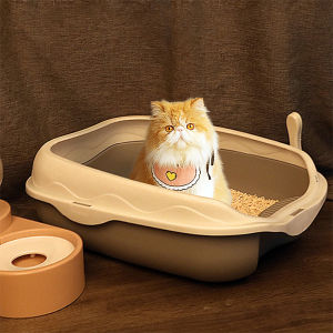 พร้อมที่ตักทราย ห้องน้ำแมว