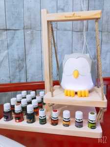 Diffuser Display Rack - Swing Style (Buaian)  with 17 slots EO Storage