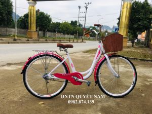 Xe đạp mini VICKY 1 dóng cỡ bánh 26