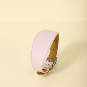 Ins Style Soft Faux Leather Dog CollarNecklace All-Season Solid Color