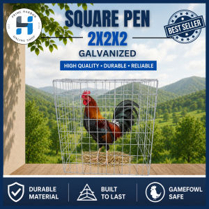 Heavy Duty Square Pen 2X2X2 Galvanized/chicken/game fowl/cock cage / Kulungan ng manok