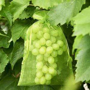 100Pcs Fruit Protection Netting Bags for Fruit Trees Garden Mesh Barrier Bags To Protect Plants From Pest Birds Squirrels Fruit Cover Mesh Bag with Drawstring