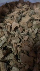 มะพร้าวสับ กาบมะพร้าวสับ กาบมะพร้าว วัสดุปลูกต้นไม้ ชิ้นเล็กืช สับเล็ก ขนาดบรรจุ 150 กรัม (น้ําหนักแห้ง) 9 บาท