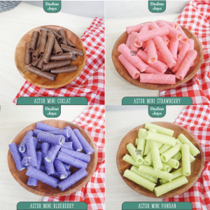 DARMO CAMILAN - Astor Mini Aneka Rasa 200gr Coklat Pandan Strawberry