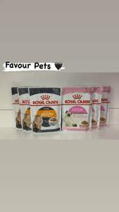 ROYAL CANIN WET FOOD POUCH/INTENSE BEAUTY/KITTEN/85G/FOR CAT