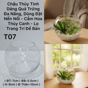 Chậu Thuỷ Tinh Dùng Làm Hồ Cá Bể Cá Để Bàn Dáng Tròn Bầu T11  Round Glass Aquarium Size 17 x 13 Cm