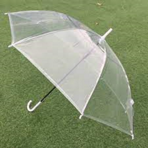 Ô DÙ TRONG SUỐT CHE MƯA ĐI MƯA DẠO PHỐ  CÔNG VIÊN TẠO DÁNG CHỤP HÌNH ẢNH