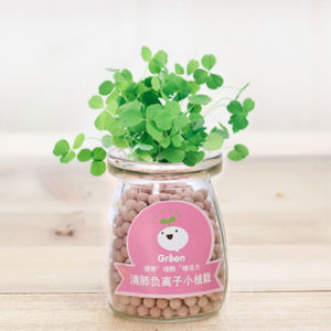 Bộ Kit Trồng Cây Mini Đủ Nước Cây Sẽ Tự Nảy Mầm