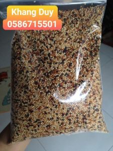 1 kg hạt cỏ thái ngũ sắc cho chim cu gáy
