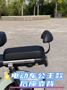 Xe đạp điện trẻ em hàng rào phía sau với tựa lưng ghế an toàn cho bé tựa lưng thích hợp cho chuyến đi ngắn