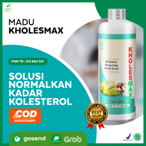 KHOLESMAX Obat Penurun Lemak Darah Gula Darah Turunkan Kolesterol atasi VERTIGO TRIGLISERIDA JANTUNG STROKE Obat Kolesterol Paling Ampuh Obat Trigliserida Tingii