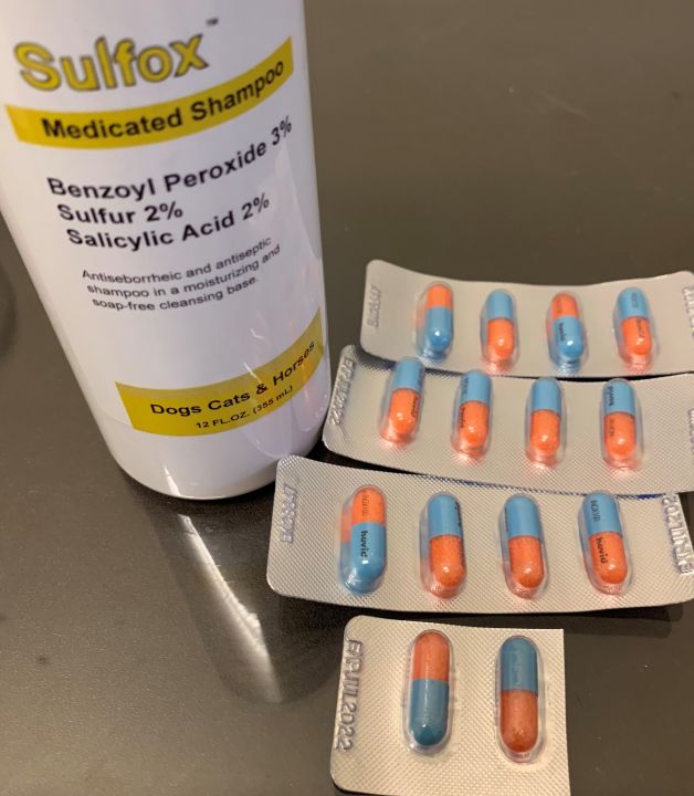 Power Antifungal Combo Sulfox + Inox for dogs and cats benzoyl