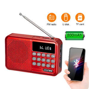 Digital Radio Speaker Portable Mini FM Radio USB TF MP3 U Dish Music Player Telescopic Antenna Handsfree Pockets Receiver Outdoor