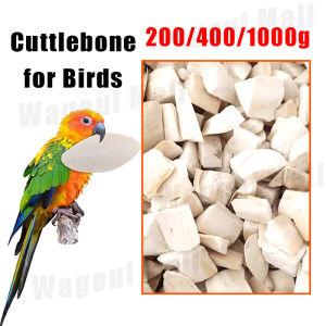 Natural Cuttlefish Bone 200/400/1000g CuttleBone for birds and reptiles