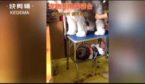 Foldable Pet Grooming Table Dogs Cats Heavy Duty Iron Frame Bathing Blow Drying Hair Trimming Beauty Care Home Pet Shop