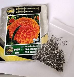 เมล็ดพันธู์ ดาวเรือง ***แบ่งขาย 15 เมล็ด*** ดอกใหญ่ ดอกดกมาก ดอกสีสวย กลมใหญ๋ ต้นสูง 80-120ซม. ดอกใหญ่8-10 ซม. แบ่งใส่ถุงซิบล๊อก มีใ้หเลือก 4 รายการ