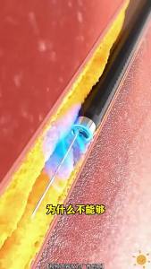 Antarctic Krill Oil Softgel Capsules 60 Capsules: DHA+EPA -3 Krill Astaxanthin the Optimal Choice for Heart and Brain Health