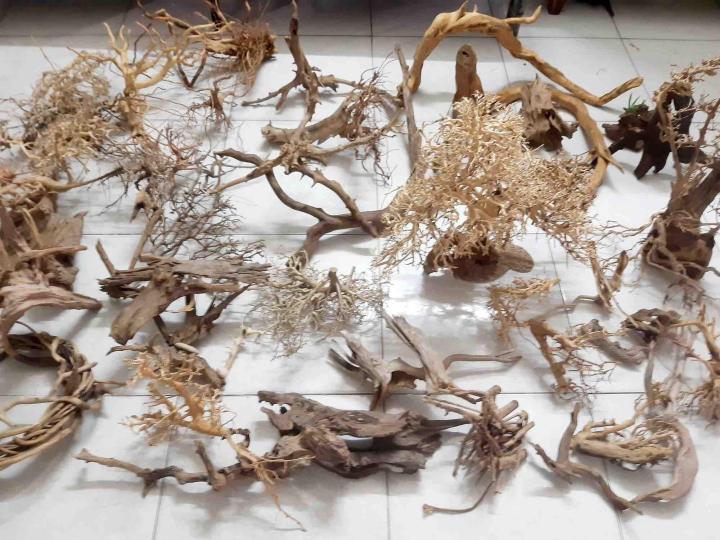 L%C5%A9a%20X%C6%B0%C6%A1ng%20Ch%C3%B9m%2030k/100g%20-%20Image%209