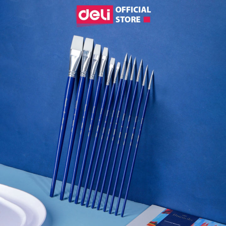 Cọ Vẽ Chuyên Nghiệp Deli, Vẽ Màu Nước/Bột/Sơn Acrylic Đầu Nylon Cán Gỗ ...