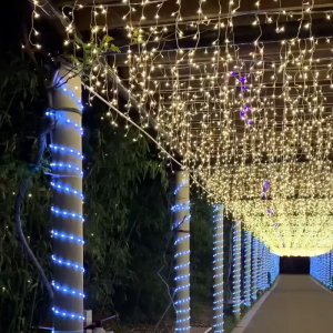 5M 216LED / 4M 96 LED Light / Lampu LED / Outdoor LED Lampu Starry String Fairy Light Hiasan Night Lamp Lampu Raya