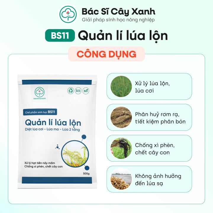 BS11%20Qu%E1%BA%A3n%20L%C3%AD%20L%C3%BAa%20L%E1%BB%99n%20-%20Di%E1%BB%87t%20L%C3%BAa%20C%E1%BB%8F%20L%C3%BAa%20Ma%20Hai%20T%E1%BA%A7ng%20-%20Kh%C3%B4ng%20%E1%BA%A2nh%20H%C6%B0%E1%BB%9Fng%20L%C3%BAa%20S%E1%BA%A1%20-%20B%C3%A1c%20S%C4%A9%20C%C3%A2y%20Xanh%20-%20Image%203