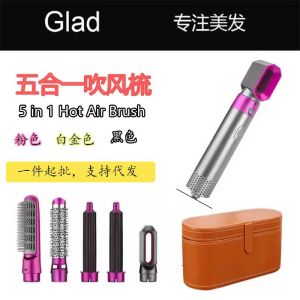 LZD hot b Five-in-One Hot Blowing Combs Straight Hair Curls Automatic curler Electric hair dryer