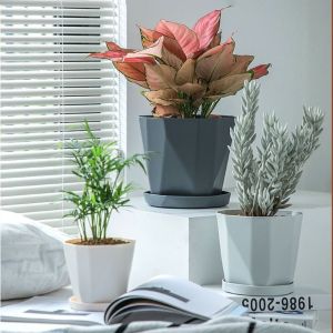 ZENGD 3 Set เรซิน กระถางดอกไม้ในร่ม นอร์ดิก กลมกลมๆ หม้อ succulents สร้างสรรค์และสร้างสรรค์ รูระบายอากาศได้ กระถางทำสวนสำหรับทำสวน ในร่ม