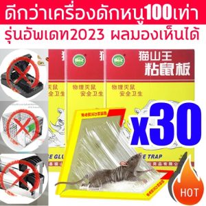 กาวดักหนู (Micky) กับดักหนู กาวดักหนู เหนียวพิเศษ ติดทน ไม่ไหลเยิ้ม ปลอดสารพิษ สามารถใช้ได้ทั้งสองด้าน-412