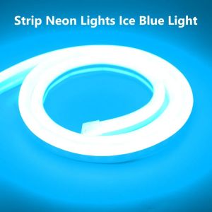 【COD】LED Light DIY RGB Christmas Decoration Light Room Can Be Cut Neon Lights aterproof Silicone Light Decoration Suitable for room and bedroom decoration