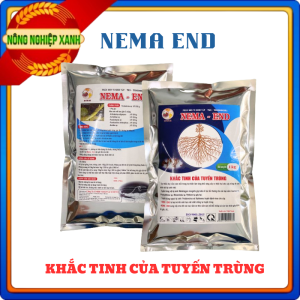 Nấm săn tuyến trùng rễ - NEMA END - gói 1kg